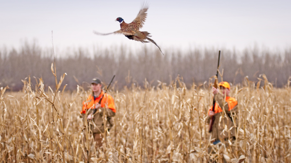 Munkavédelem a vadgazdálkodásban