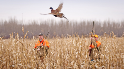 Munkavédelem a vadgazdálkodásban